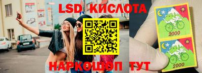 дживик Можга