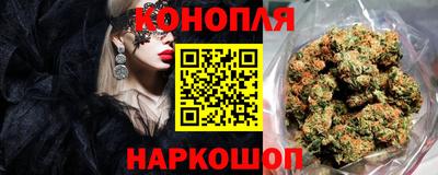 дживик Можга