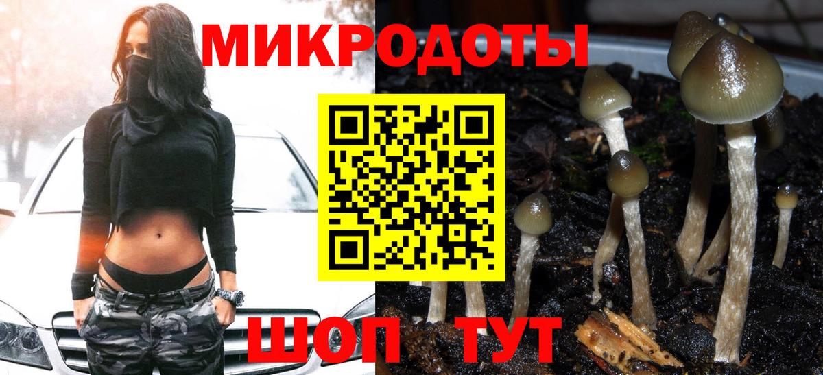 Псилоцибиновые грибы Cubensis Среднеуральск
