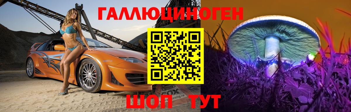 Псилоцибиновые грибы мицелий  Вход с VPN  Среднеуральск 